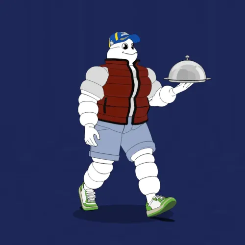 Michelin 3xplorer #1430