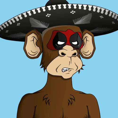 Monkey #1618