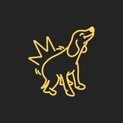 DONK DAO Pass