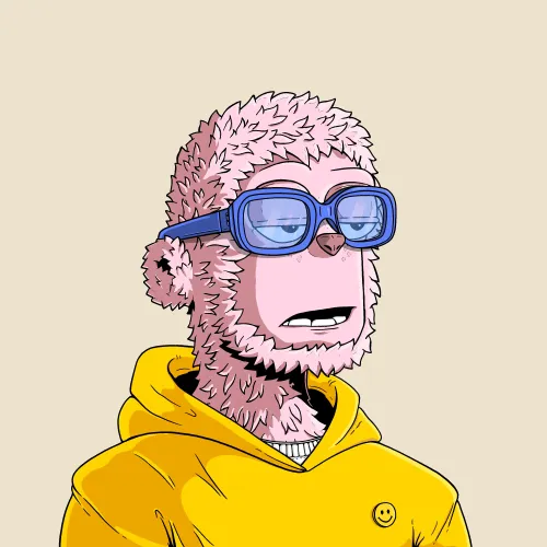 y00t #9303