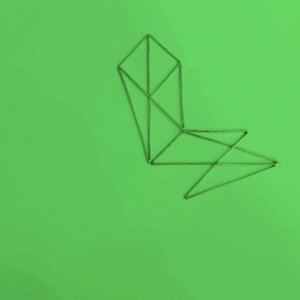 the green gang "the amphibious" #11