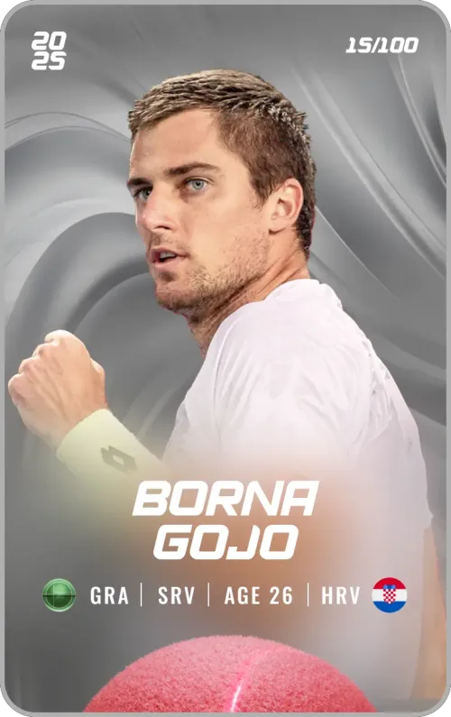 Borna Gojo - Silver - Service #178611