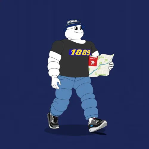 Michelin 3xplorer #2330