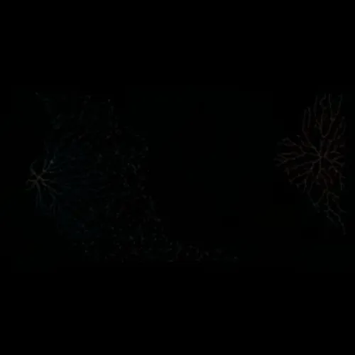Frontline #3787 (#72951987)