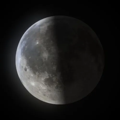 Last Quarter (#93297439)