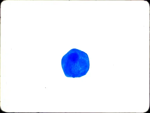 Blue Dot Test #199305