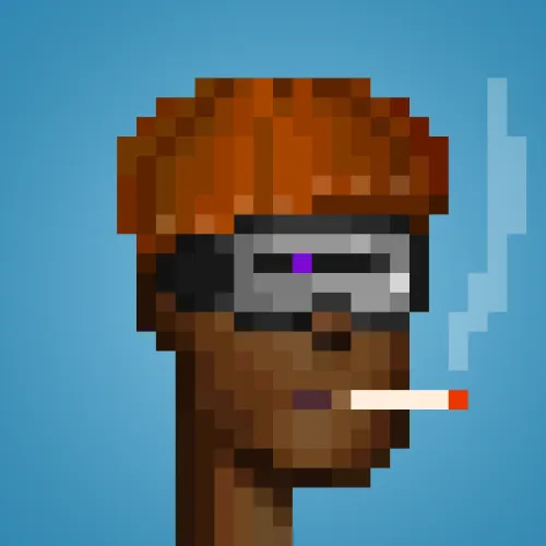 Punk #1505