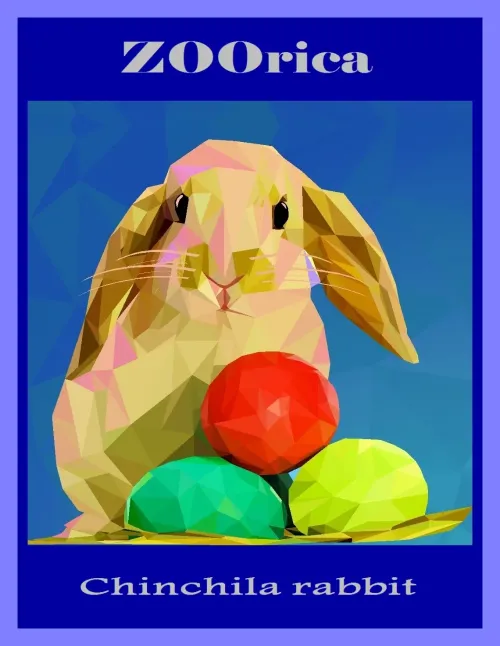 CHINCHILA RABBIT #1492
