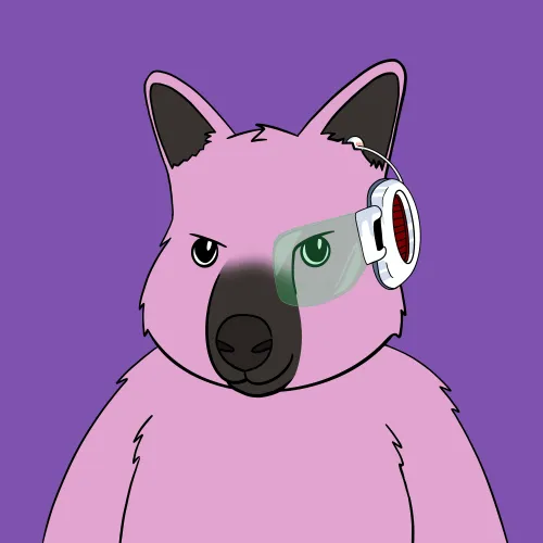 Roo #1241