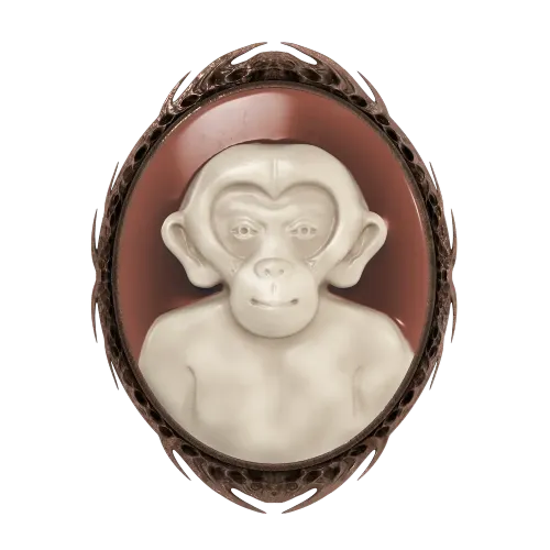 MonkeyDeo #5