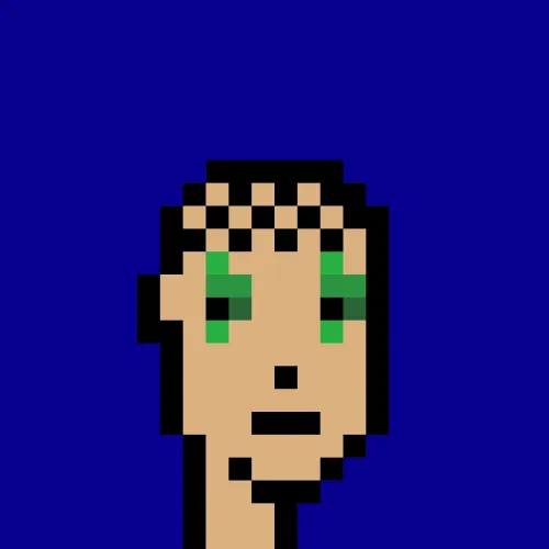 BRC 2.0 PUNK #7827 (#100778481)