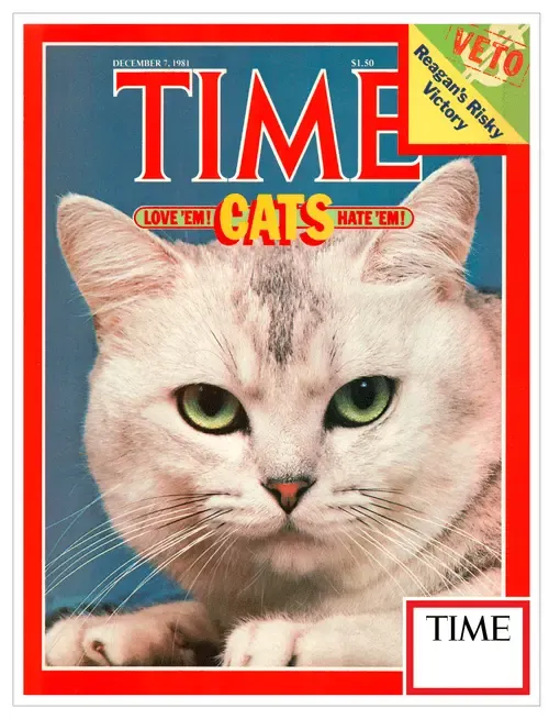 TIME Cats Love 'em! Hate 'em! - December 7th, 1981 #9868