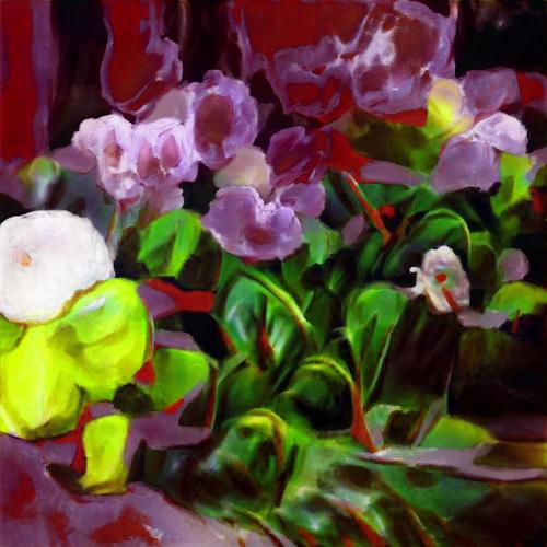 orchids #5329