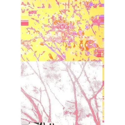 Blooming #5 (#91971289)