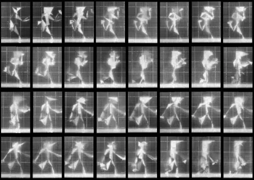 Chronophotograph 60 #60