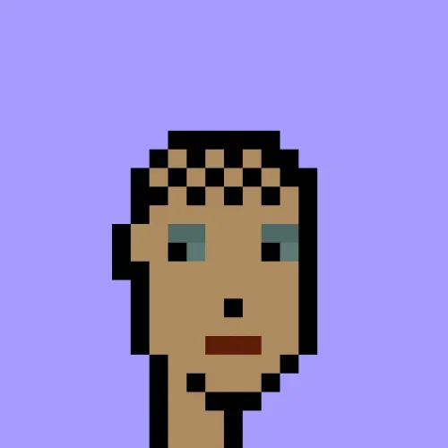 V1 PUNK #8942