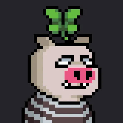 Pigmo #1621