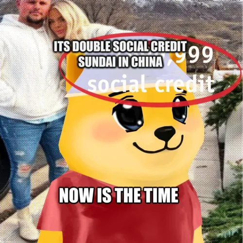Bonkyo #899