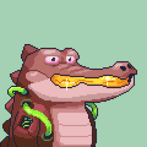 Croc #4037