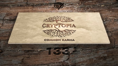 Cryptopia KARMA NFTs #133