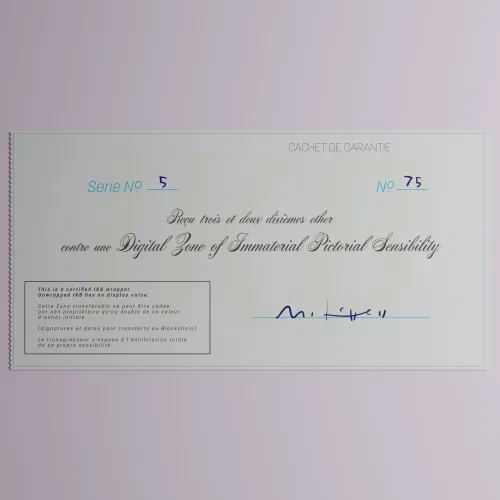 Digital Zone of Immaterial Pictorial Sensibility, Series 5, Edition 75. (Wrapped) #75