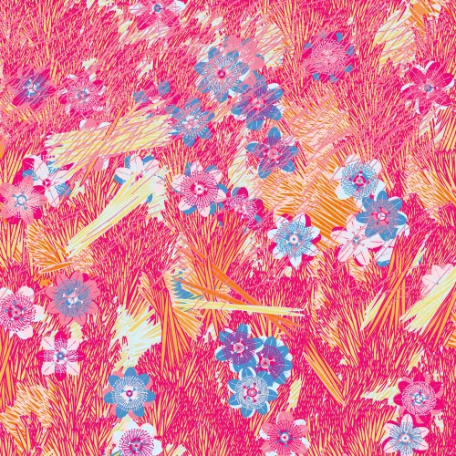 Fragments of an Infinite Field #786