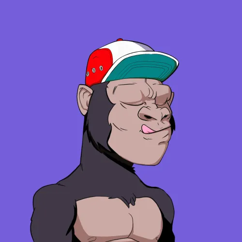 Kong #2899