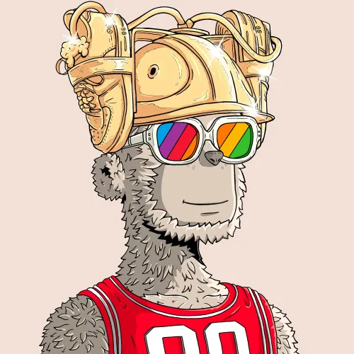 y00t #14754