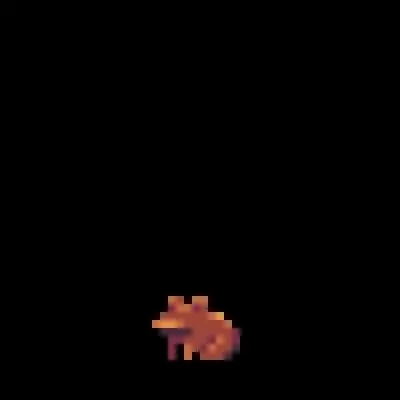 Chocolate Toad #35