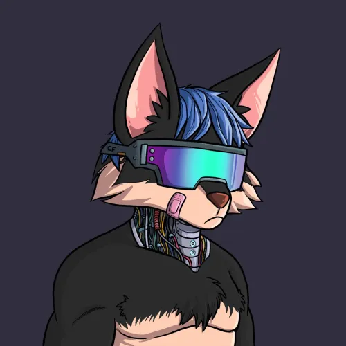 Cyber Fox1947