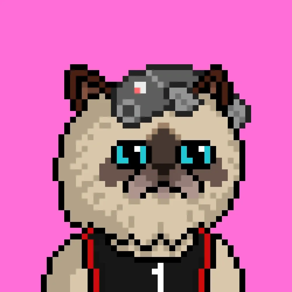 Miggles On Base #2823