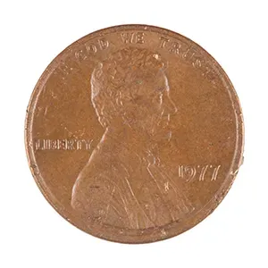 #65903771