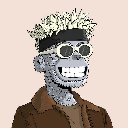 y00t #1441