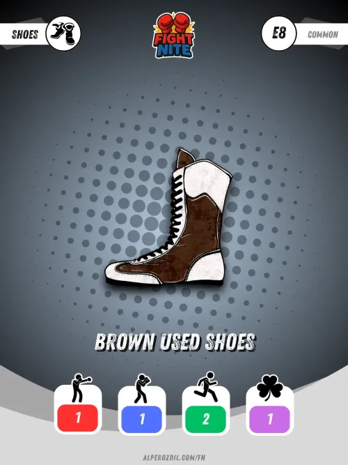 Used Shoes (Brown)