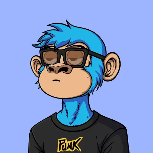 Sarupunk#5856