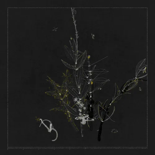 Polypaths | 植徑集 #215
