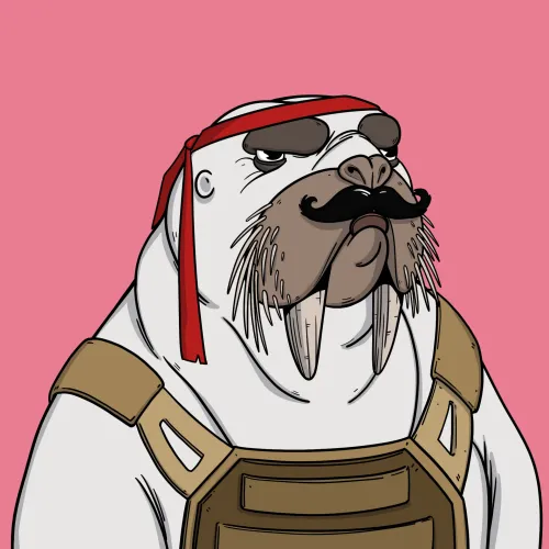 We Are The Walrus #8919