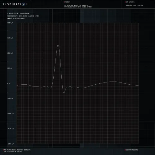HEARTBEATDATAPAINTING #4889