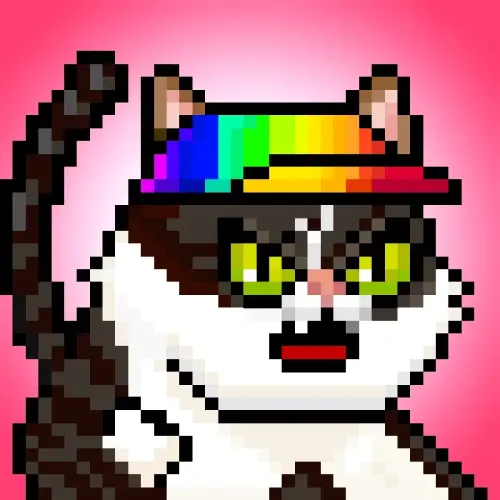 YOLOCat #234