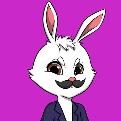 Bunny#2381