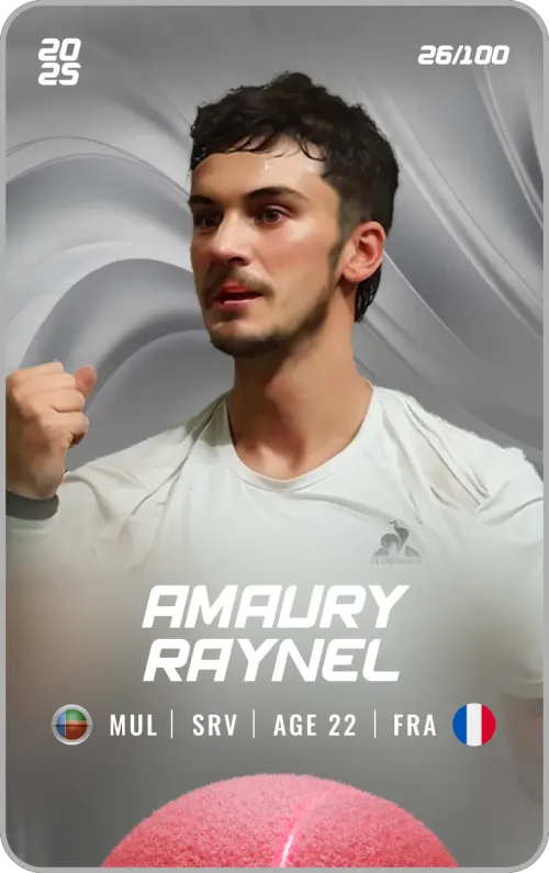 Amaury Raynel - Silver - Service #178607