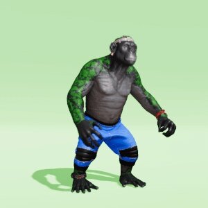 BR1 Character #342