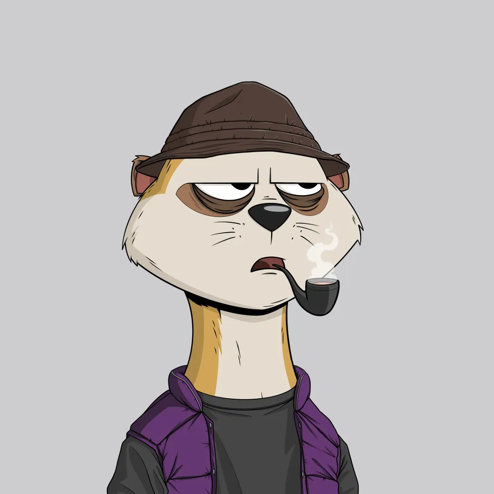 Worried Meerkat #1176