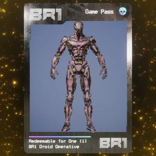 BR1 Character #6799