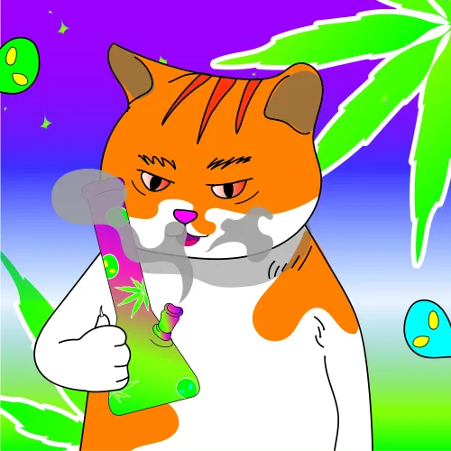 Cat Nip #1155934