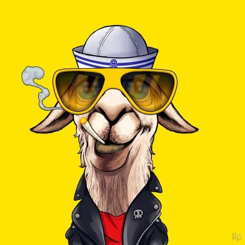 LLama #1223
