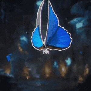 Butterfly Effect #1984