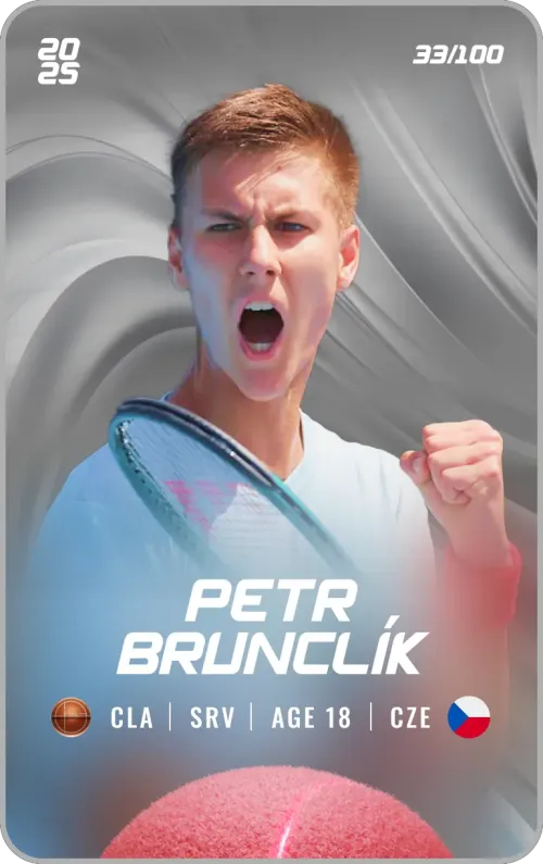 Petr Brunclík - Silver - Service #193485