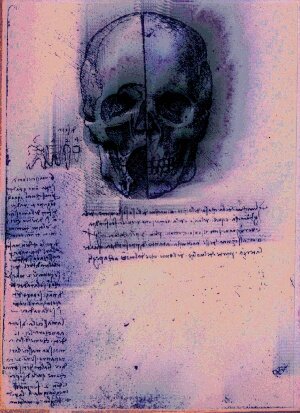 Skull Study in Pesca Dolce & Uva Glitch #22