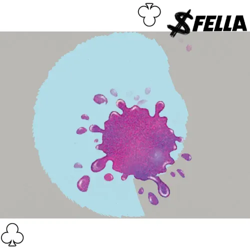 PipeFella #248